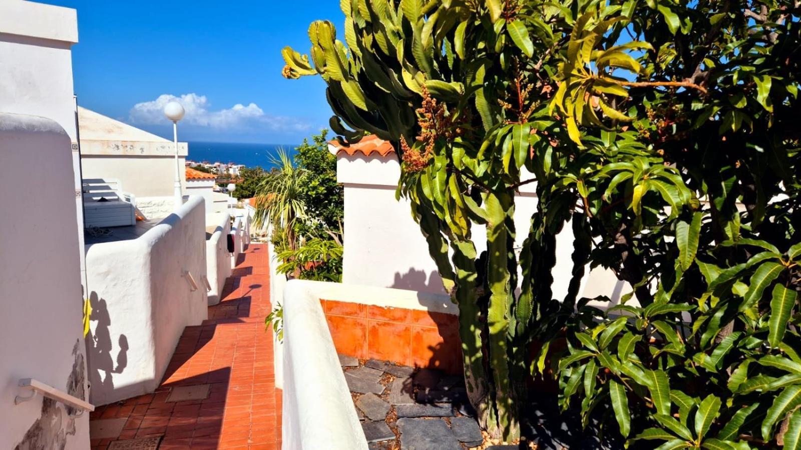 Costa Adeje Bungalow -Tenerife Costa Adeje (Tenerife) Exterior foto
